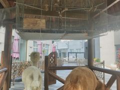 -北京远航国际酒店