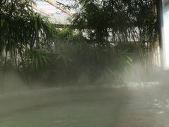 -关东文化园