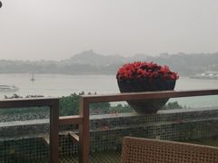 -鹭江宾馆·观海餐厅