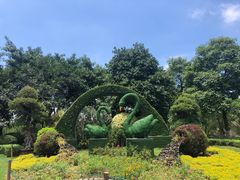 -五缘湾湿地公园