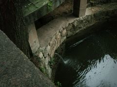 -沣峪森林公园龙潭戏水景区