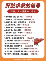 -Fundi张玉珊修身堂·indiba·BTL科技瘦身