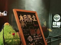 -蜉蝣酒吧(仓山万达店)