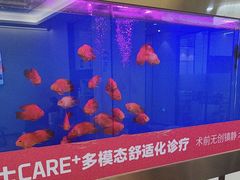 -牙博士口腔品牌连锁(杨浦店)