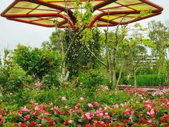 -春花秋色城市公园