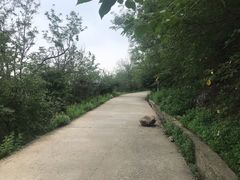 -鬼笑石后山停车场