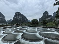 -明仕田园