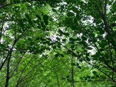 -南山风景名胜区