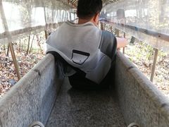 -帽儿山风景区