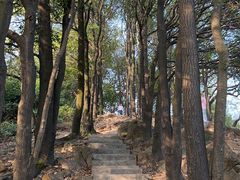 -火炉山森林公园