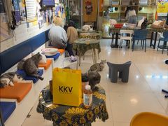 -平行世界·猫咖(首经贸店)