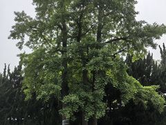 -苏州碑刻博物馆