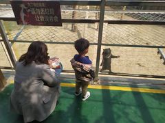 -五龙山野生动物王国