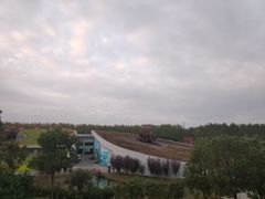 -合肥滨湖国家森林公园