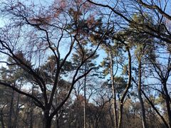 -长春市南湖公园