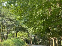 -宜兴龙背山森林公园