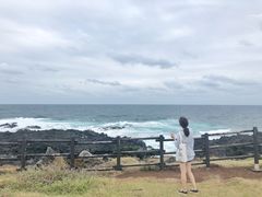 -涉地可支