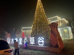 -大塘金香草谷