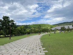 -奈良公园