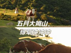 -大姆山草场
