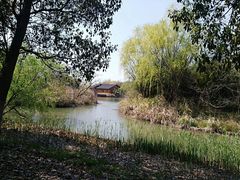 -梁鸿国家湿地公园