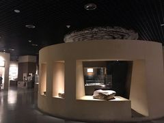 -宁夏博物馆