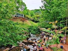 -重庆彩云湖湿地公园