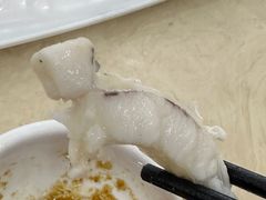 -源港渔村-中山脆肉鲩(博罗店)