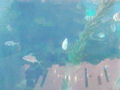 -鸿通城购物中心