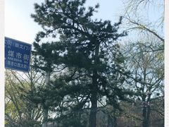 -泰丰楼(前门西大街店)