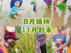 -新地休闲农场