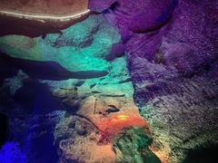 -寻龙山风景旅游区