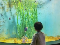 -江和美海洋公园