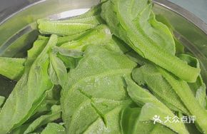 Double-Enjoy Ice Plant