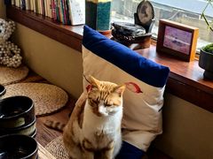 -子霖南山鲜虾面(南山总店)