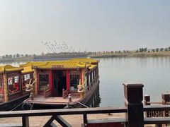 -南大港湿地风景区