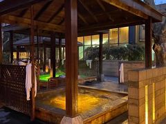 -春晖园度假酒店温泉