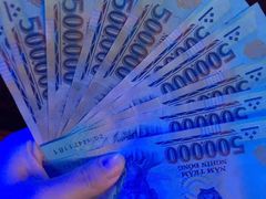 -芽庄喜来登水疗酒店