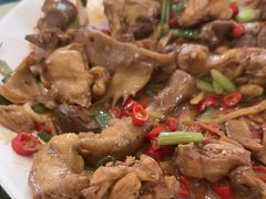 -生态苑农庄(十里画廊遇龙河店)