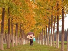 -汉长安城未央宫国家考古遗址公园