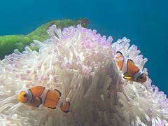 -海合安武汉极地海洋公园