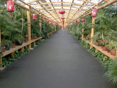 -东方华地城湿地温泉度假区