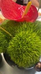 -新锦江大酒店·宴会厅·婚宴