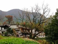 -塔川景区