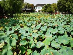-丝绸小镇荻港古村