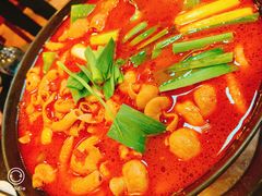 -湘肠香火锅店(团结湖店)