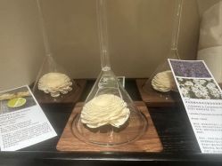 -AGE LOCK 锁龄美肌