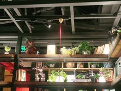 大堂-探鱼·鲜青椒爽麻烤鱼(番禺万达店)