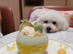 -哈根达斯(SM店)