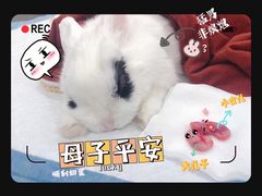 -美联众合动物医院·24h转诊中心